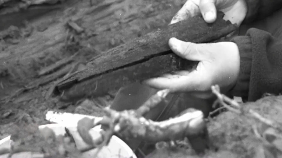 ФОТО: Кадр из программы "Загадки человечества", РЕН ТВ