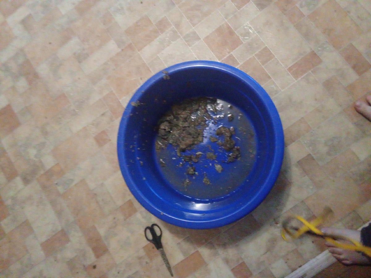 Блевотное фото. Грязь из сифона