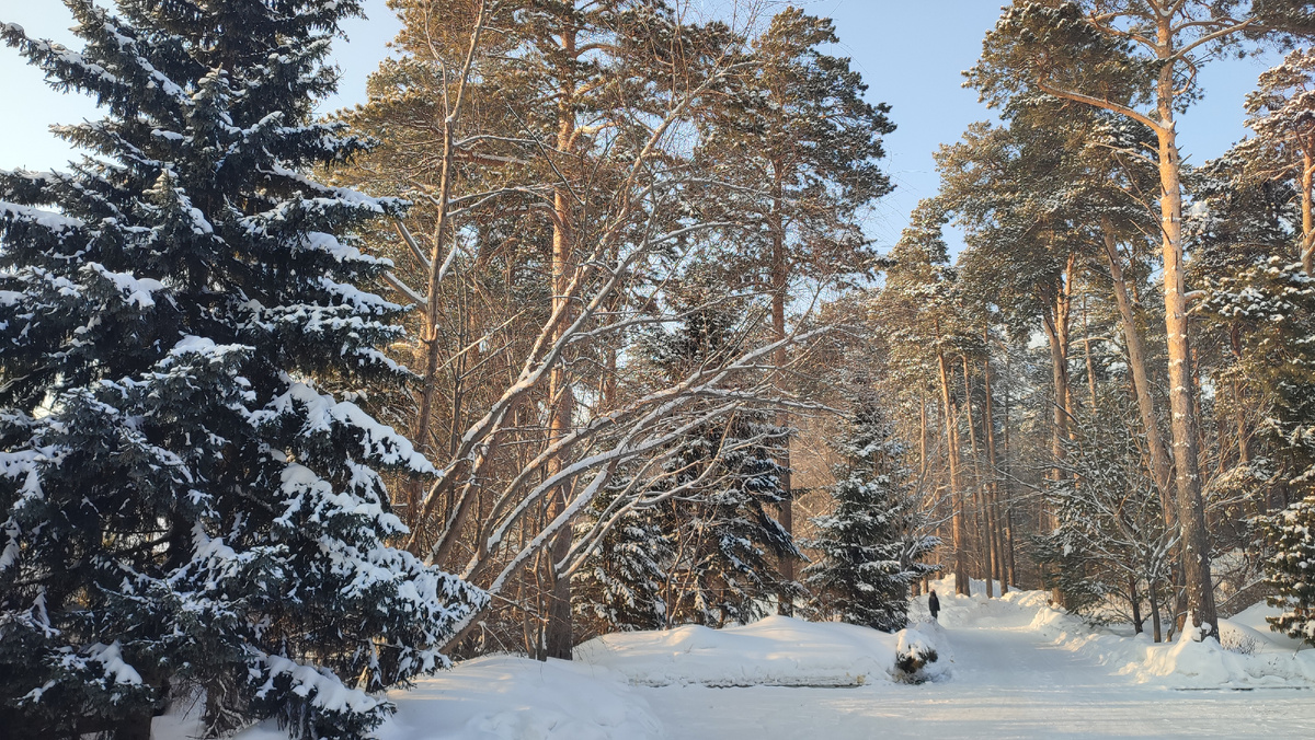 Новосибирск. Парк в Октябрьском районе