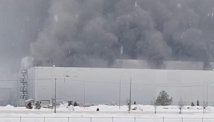 Обложка © Mash