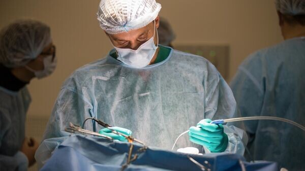    © Соцсети главы РК Сергея Аксенова