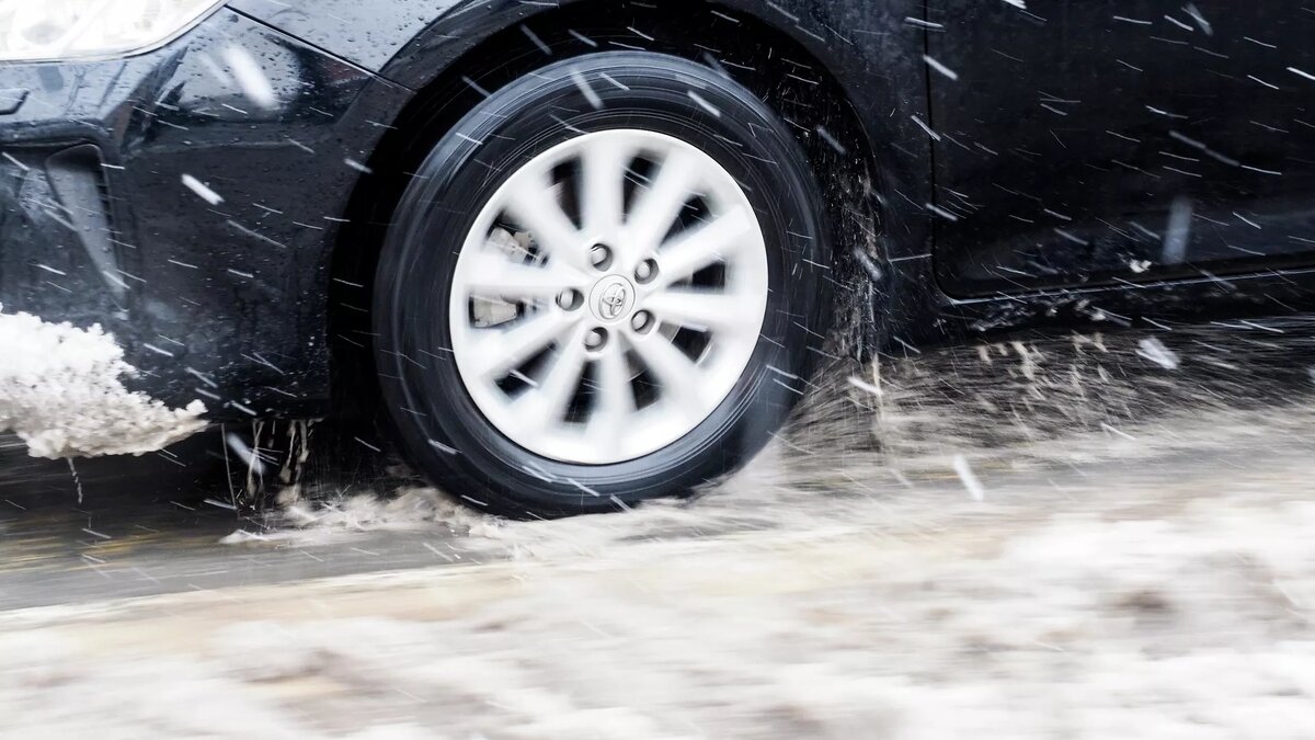 © Sputnik / Владимир Песня