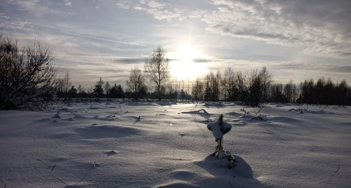    Минлесхоз Нижегородской области