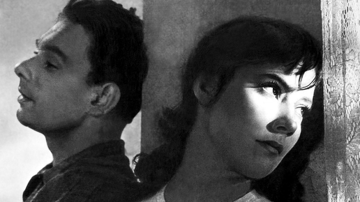 Кадр из фильма "Летят журавли"