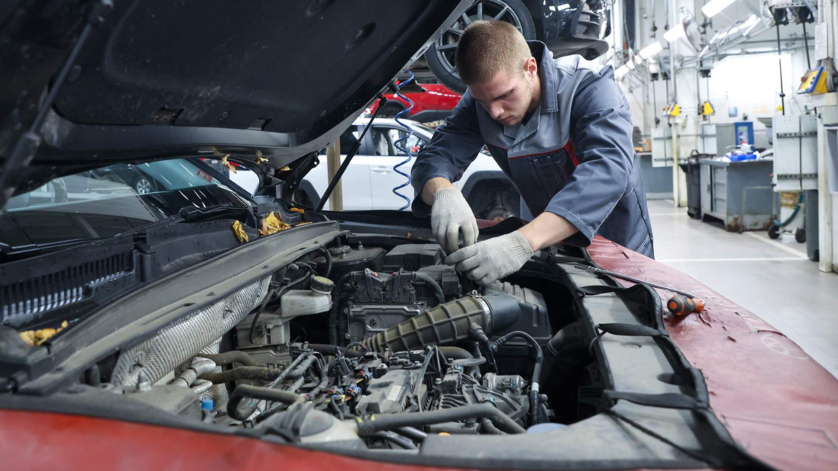 Фото: Global Look Press/Belkin Alexey