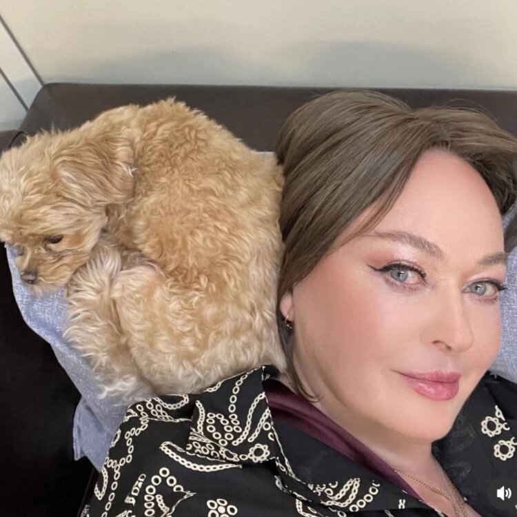 Лариса Гузеева показала любимую собачку Жужу. Источник: Instagram (запрещенная в России соцсеть; принадлежит компании Meta, признанной экстремистской организацией и запрещенной в РФ)📷
