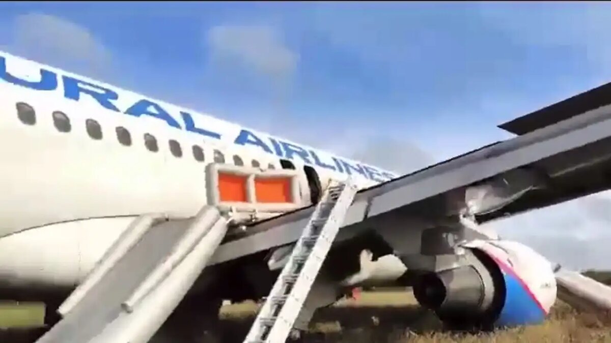    Кадр с места посадки самолета в поле © МЧС РФ