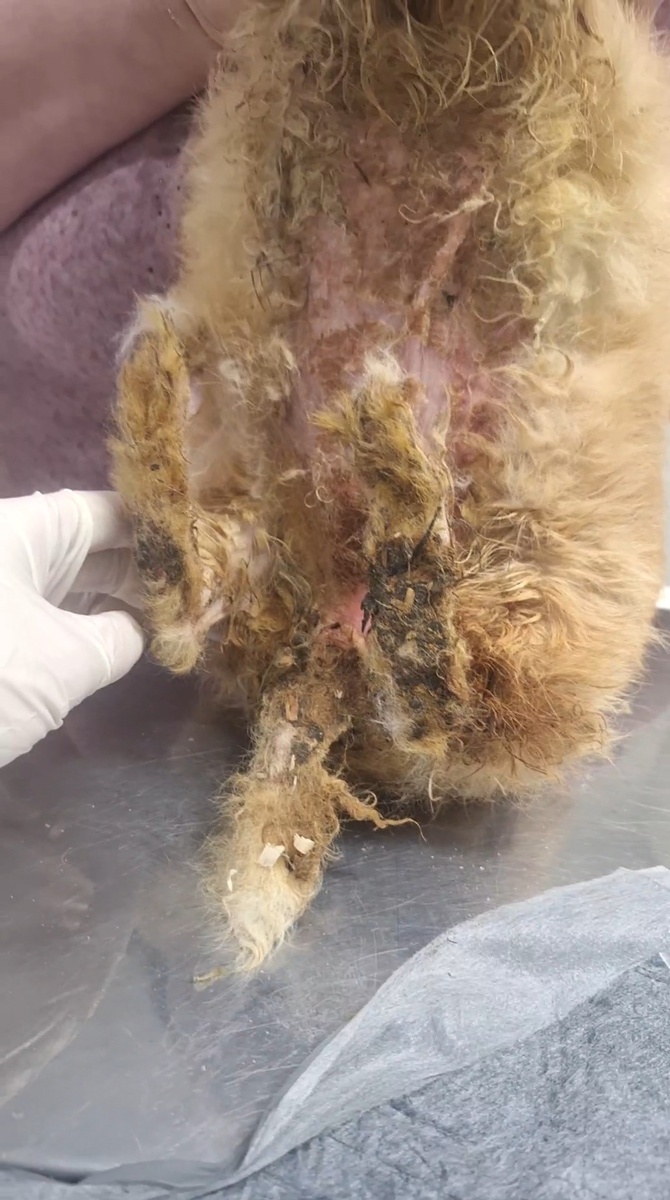 Обратились на приём 