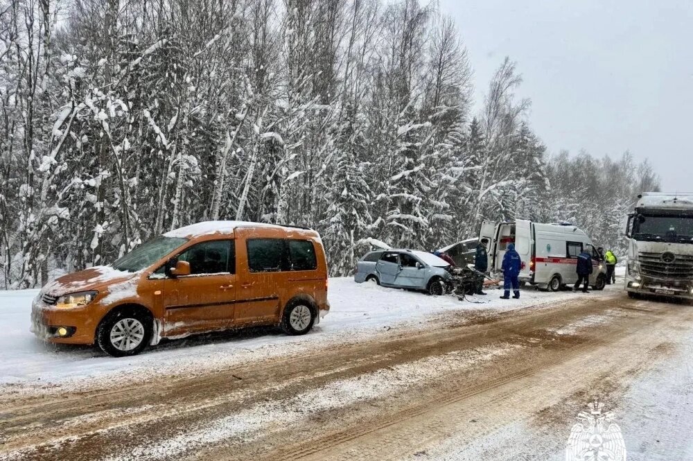    Фото: МЧС Тверской области