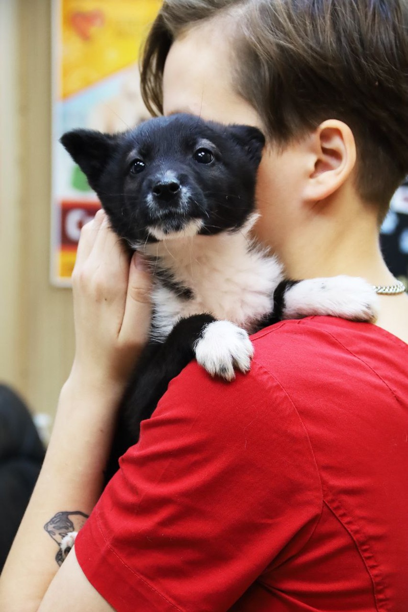 Он не просит многого... лишь быть нужным.