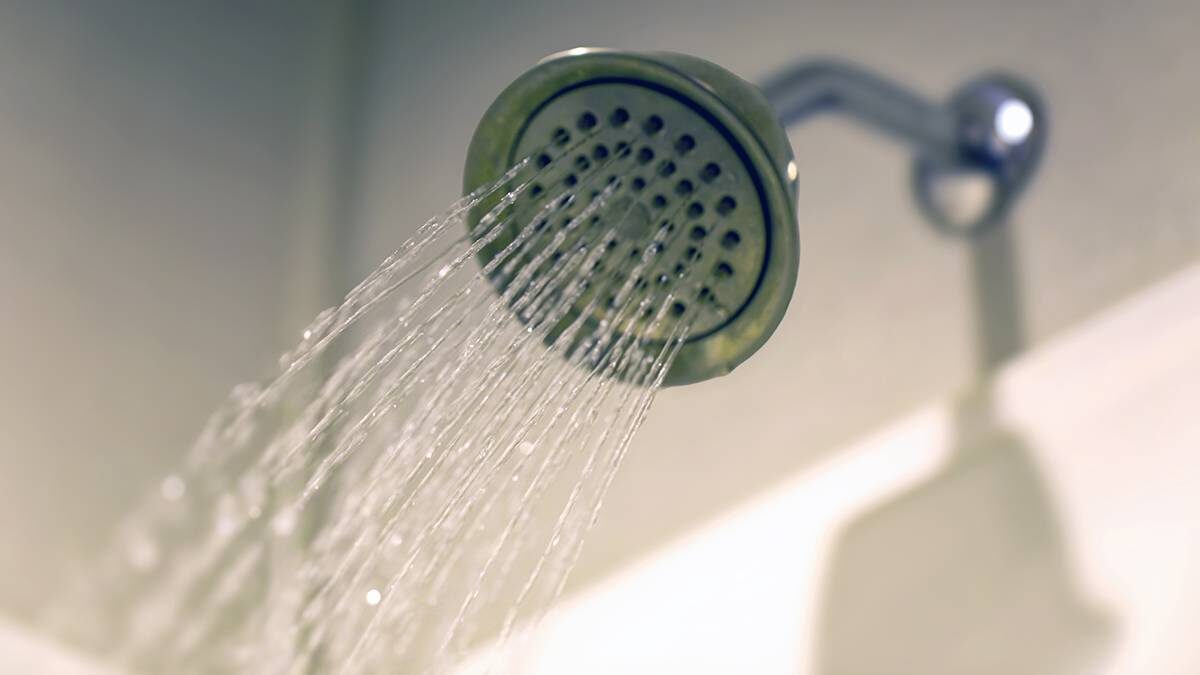    Фото: Shutterstock