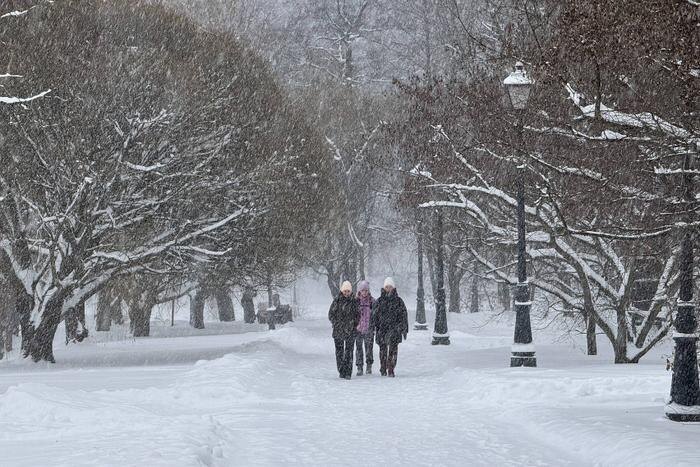 Погода в Москве в феврале 2026. Фото © Life.ru