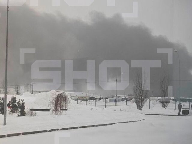    Фото: телеграм-канал SHOT