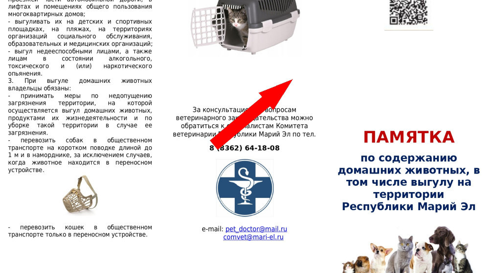    Что теперь нельзя делать с питомцами и как защитить их по новому закону