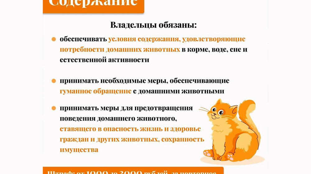    Что теперь нельзя делать с питомцами и как защитить их по новому закону