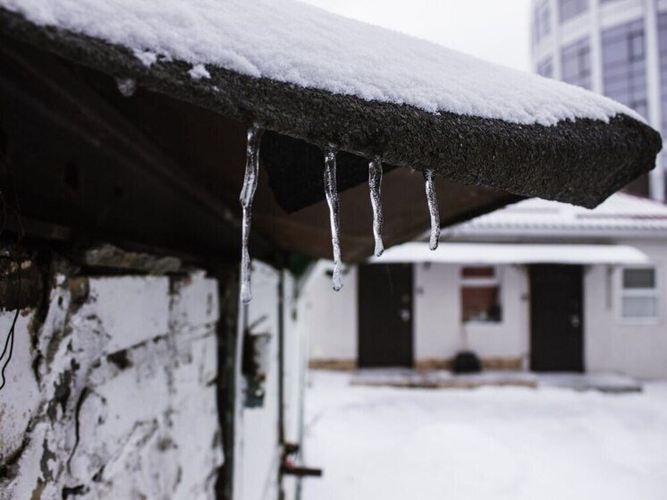     Фото: архив МК в Питере.