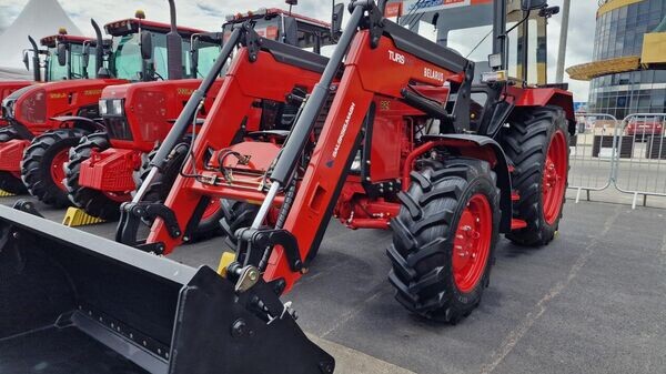    © Sputnik / Александр Жибуль