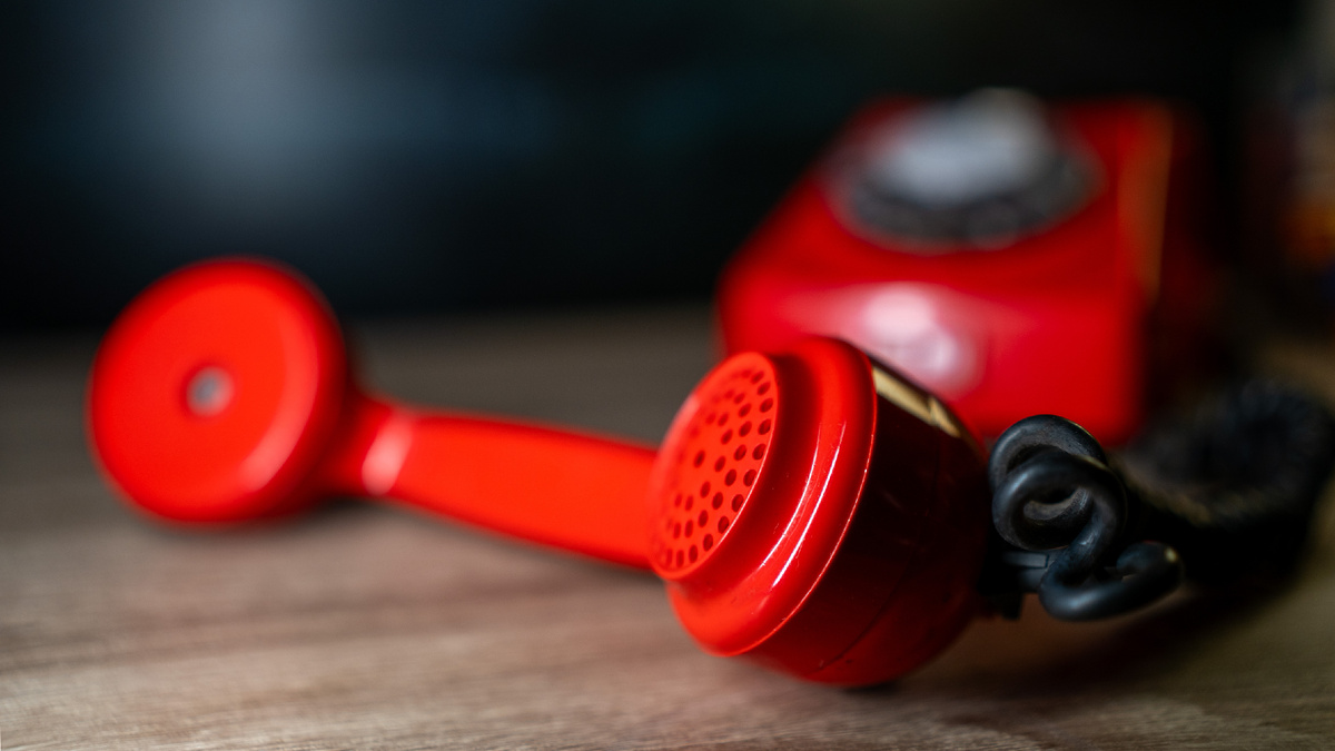 Автор фото: Next_Frame_Factory / Shutterstock / FOTODOM