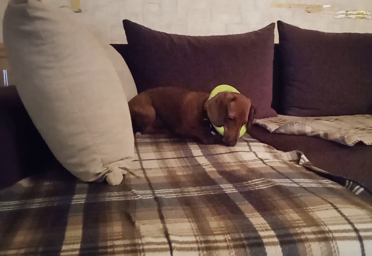 Так выглядит наш диван, сиденья застелены флисовыми пледами