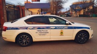    Элина Болдырева Юлия Виноградова