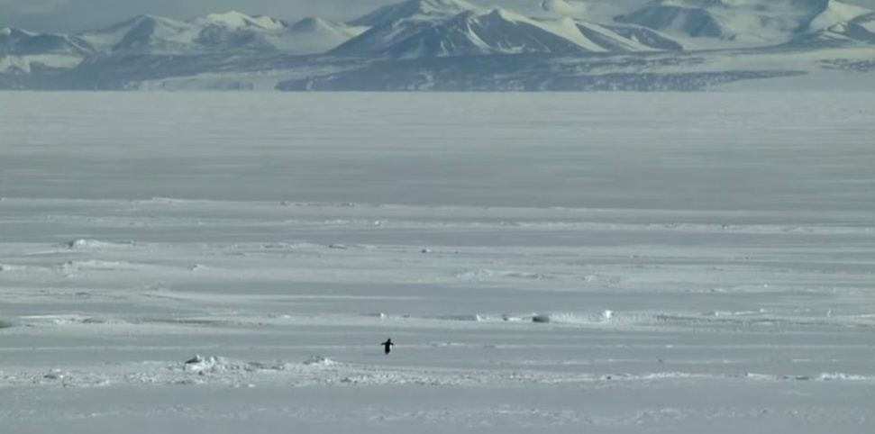Кадр из фильма «Встречи на краю света»