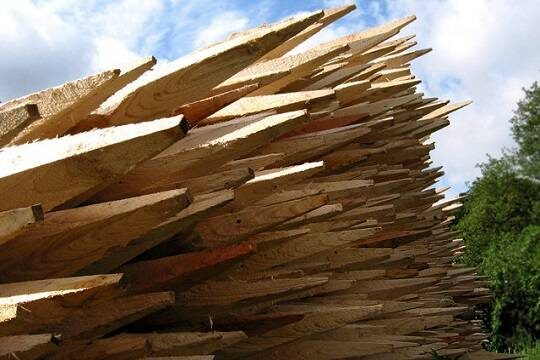    Спрос на осиновые колья в России вырос в четыре раза