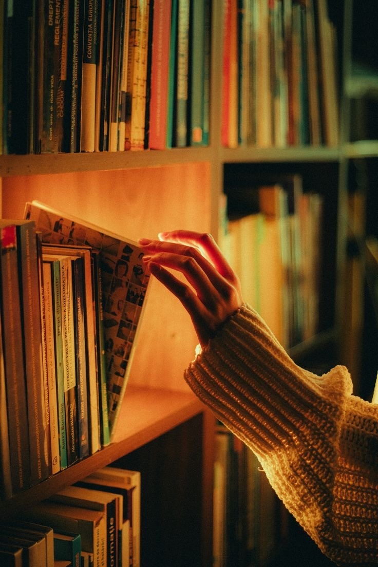 Все изображения взяты из открытых источников 