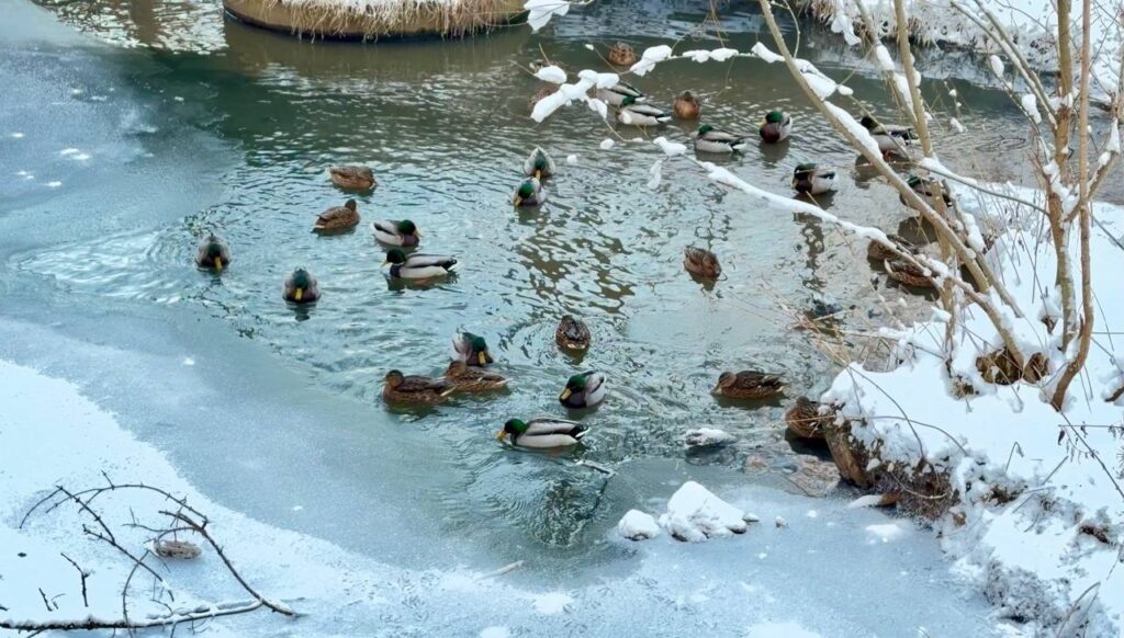    Фото: В курсе.ру Ульяна Бажанова