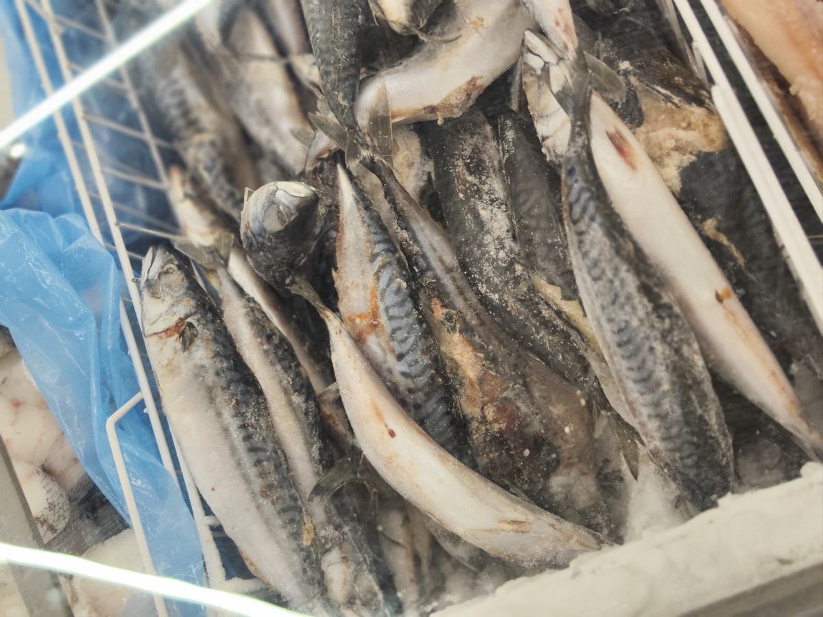 В одной из рыб эксперты обнаружили ртуть.  Фото: ФедералПресс / Ксения Кобалия