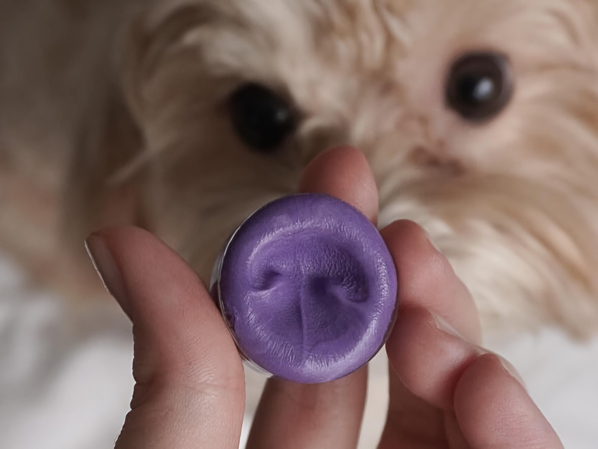 Готовый отпечаток носика