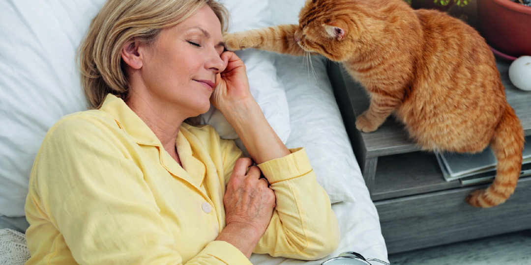 Кошка будит хозяина по утрам. Почему она это делает и можно ли отучить ее