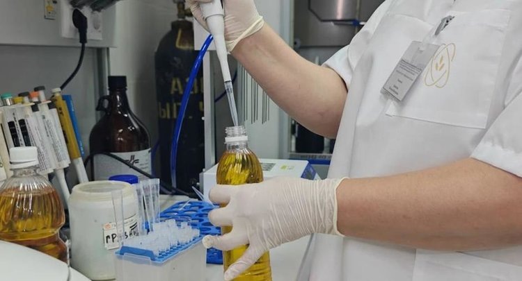    Фото: ФГБУ ЦОК АПК