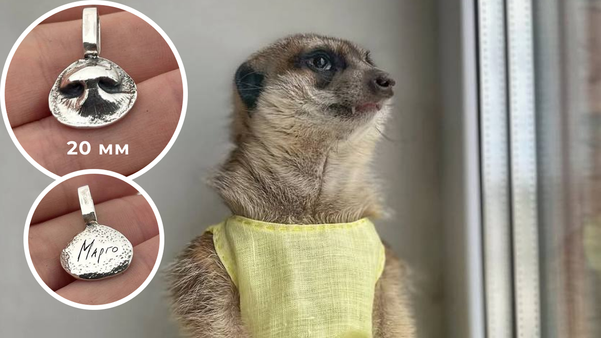 Сурикат Марго