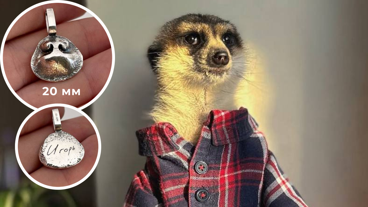 Сурикат Игорь