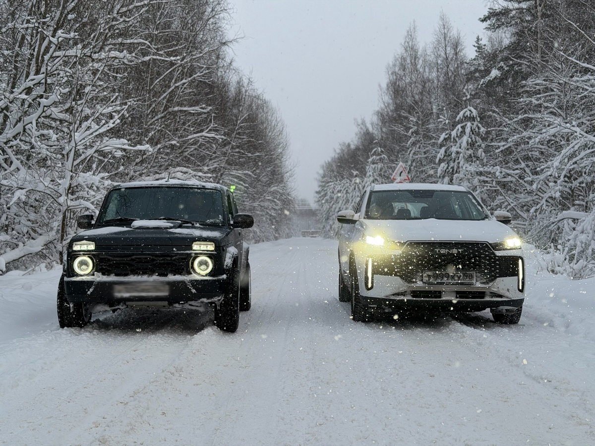 T4 со своим надежным спасителем. 