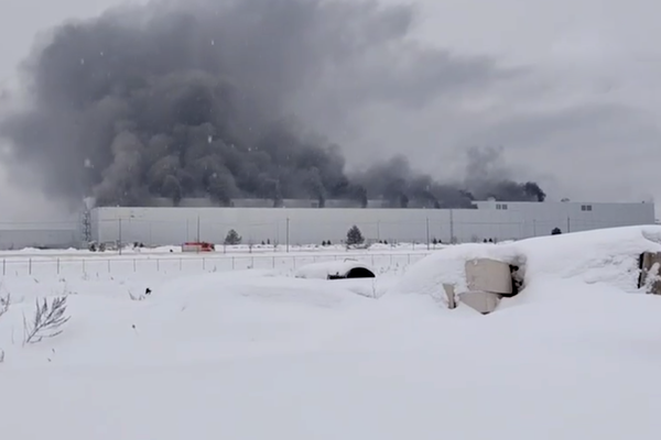 Кадр из видео/Соцсети  