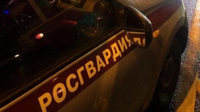 Фото: https://vk.com/wall-162883218_8258