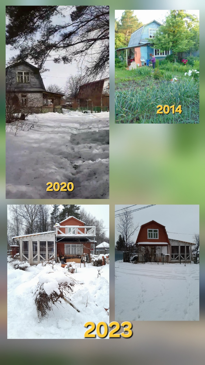 Фото для сравнения.