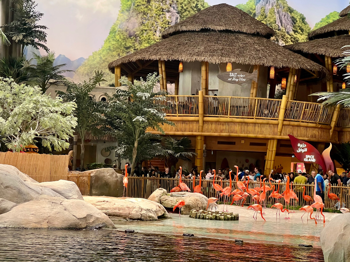 Все фото в статье авторские. Копирование запрещено. 