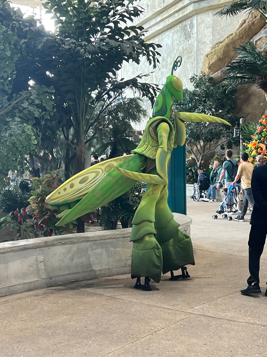 В переходах можно встретить таких существ!🤣