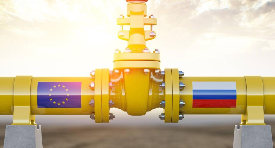    IMAGO/Zoonar.com/Maksym Yemelyan / www.globallookpress.com