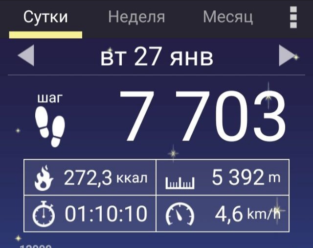 Это я вчера столько шагов на улице находила. Без шагомера никуда.