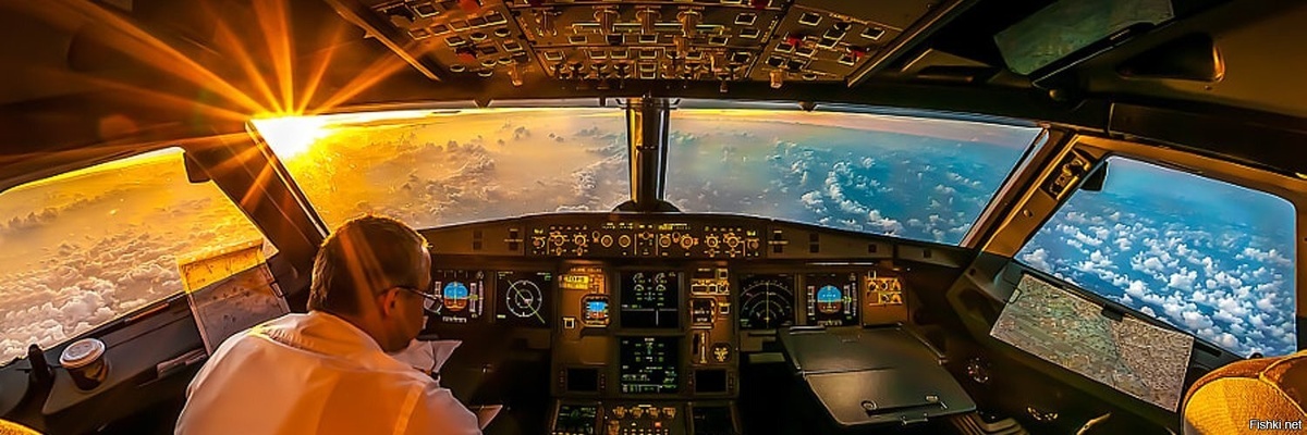 Изображения взяты из открытых источников.