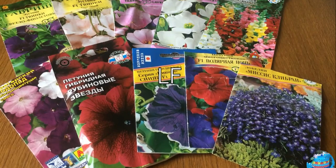 Что посеять в феврале. Однолетники на рассаду.