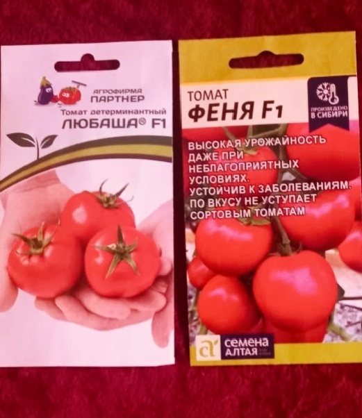 Любаша и Феня