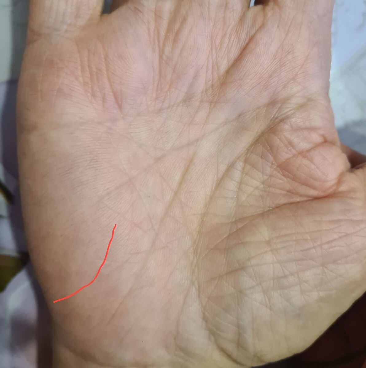 Личное фото