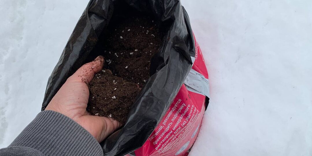 Как избавить покупной грунт от мошек без химии – бесплатный способ