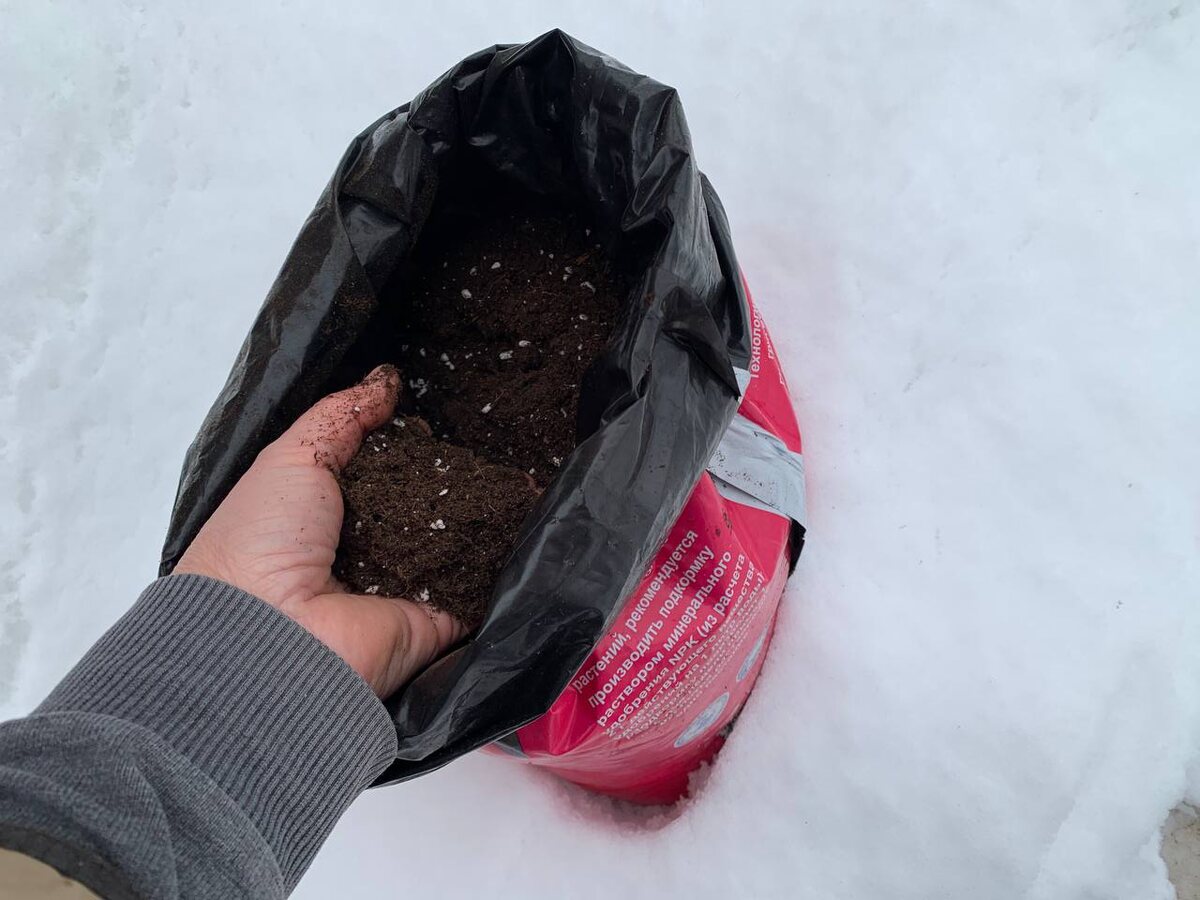 Грунт нужно два раза проморозить. Фото автора 