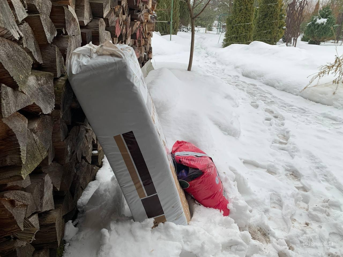 Двойное промораживание грунта решит проблему со сциаридами. Фото автора 