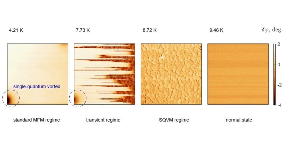    Изменение картины фазового сдвига δφ(x, y) для одной и той же области 100-нм-толстой пленки Nb при повышении температуры (размер изображения 5 × 5 мкм²). В режиме МСМ можно разглядеть закрепившийся на дефекте квантовый вихрь, а при росте температуры его плавно сменяет «чешуйчатый» узор пинниговой сети / © Mesoscience & Nanotechnology